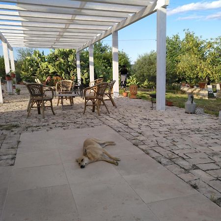 ノート Agriturismo Gaiaヴィラ エクステリア 写真