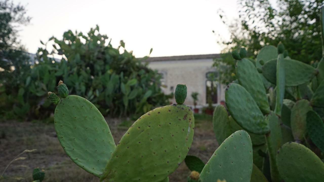 ノート Agriturismo Gaiaヴィラ エクステリア 写真